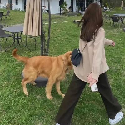 鉴你所见:花露森林